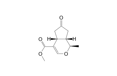 (+)1beta,2beta,6beta-2-Methyl-5-methoxycarbonyl-3-oxa-bicyclo[4,3,0]non-5-ene-8-one