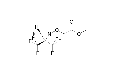 1-(METHOXYCARBONYLMETHOXY)-2,2-BIS(TRIFLUOROMETHYL)AZIRIDINE