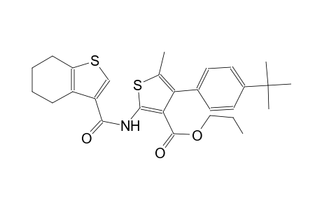 propyl 4-(4-tert-butylphenyl)-5-methyl-2-[(4,5,6,7-tetrahydro-1-benzothien-3-ylcarbonyl)amino]-3-thiophenecarboxylate