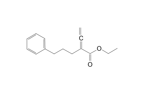 Ethyl 5-phenyl-2-vinylidenepentanoate