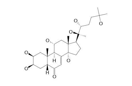 TURKESTERONE