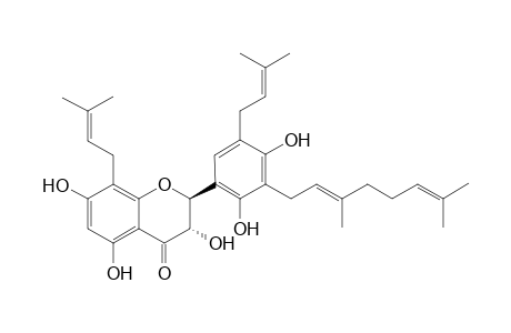 Sanggenol E