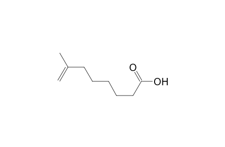 7-Methyl-7-octenoic acid