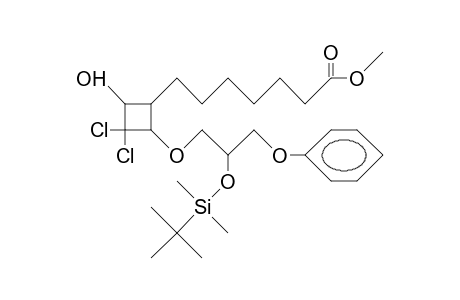 (1a,2A<R>,4A)-3,3-Dichloro-2-(2-<T-butyl-dimethyl-silyloxy>-3-phenoxypropoxy)-4-hydroxycyclobutylheptanoic acid, me ester