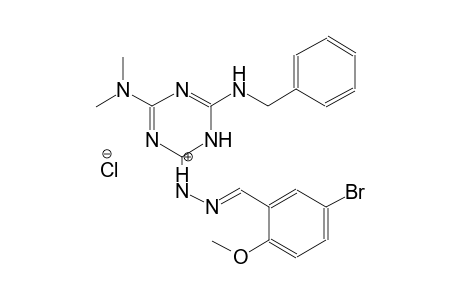 1-(6-(benzylamino)-4-(dimethylamino)-1,3,5-triazin-2(1H)-ylidene)-2-(5-bromo-2-methoxybenzylidene)hydrazin-1-ium chloride