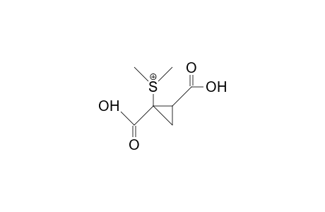(.+-.)-trans-2-Dimethylsulfonio-cyclopropane-1,2-dicarboxylic acid, cation