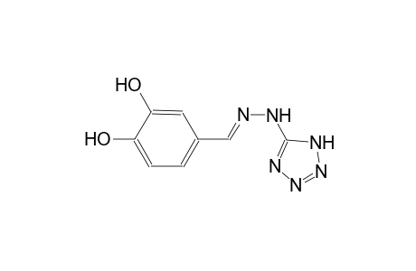 benzaldehyde, 3,4-dihydroxy-, 1H-tetrazol-5-ylhydrazone