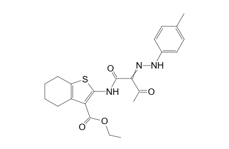 N-(3-Ethoxycarbonyl-4,5,6,7-tetrahydrobenzo[b]thien-2-yl)-2-(4-methylphenyl hydrazono)-3-oxobutanamide