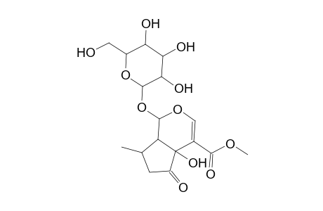 Methyl 1-(hexopyranosyloxy)-4a-hydroxy-7-methyl-5-oxo-1,4a,5,6,7,7a-hexahydrocyclopenta[c]pyran-4-carboxylate