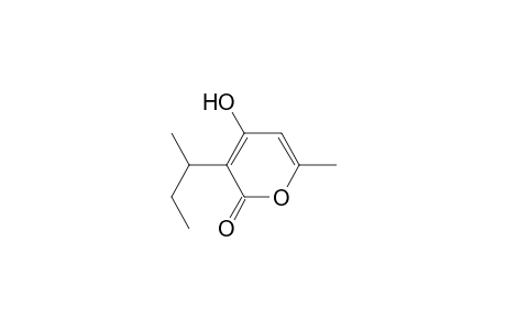 3-(2-butyl)-4-hydroxy-6-methyl-2-pyrone
