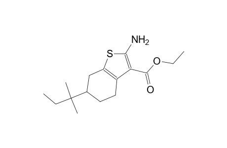 ethyl 2-amino-6-tert-pentyl-4,5,6,7-tetrahydro-1-benzothiophene-3-carboxylate