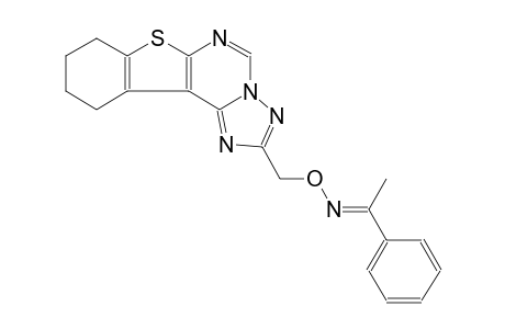 (1E)-1-phenylethanone O-(8,9,10,11-tetrahydro[1]benzothieno[3,2-e][1,2,4]triazolo[1,5-c]pyrimidin-2-ylmethyl)oxime