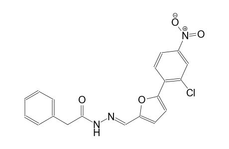N'-{(E)-[5-(2-chloro-4-nitrophenyl)-2-furyl]methylidene}-2-phenylacetohydrazide