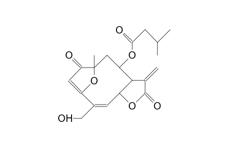 8-O-(3-Methyl-butyryl)-budlein A