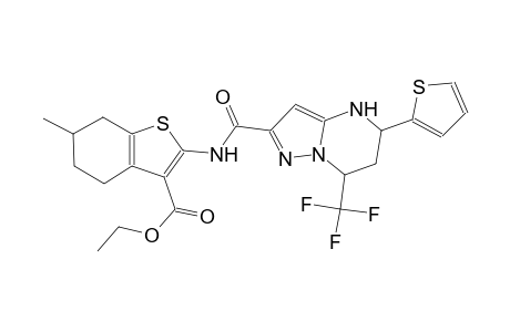 ethyl 6-methyl-2-({[5-(2-thienyl)-7-(trifluoromethyl)-4,5,6,7-tetrahydropyrazolo[1,5-a]pyrimidin-2-yl]carbonyl}amino)-4,5,6,7-tetrahydro-1-benzothiophene-3-carboxylate