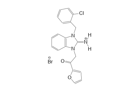 1-(2-chlorobenzyl)-3-[2-(2-furyl)-2-oxoethyl]-1,3-dihydro-2H-benzimidazol-2-iminium bromide