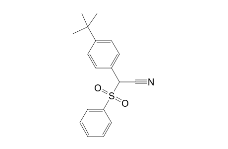 2-tert-Butylphenyl(phenylsulfonyl)acetanitrile