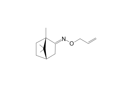 [1S,4S,(E)]-1,7,7-TRIMETHYL-BICYCLO-[2.2.1]-HEPTAN-2-ONE-O-ALLYL-OXIME