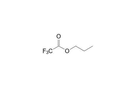 trifluoroacetic acid, propyl ester