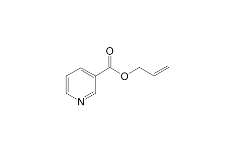 Allyl nicotinate