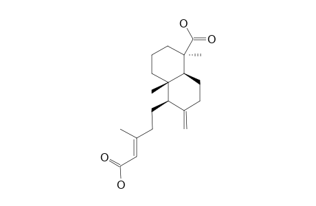 PLATENCIN_SL1;ENT-COPALYL-15,19-DICARBOXYLIC_ACID;ENT-AGATHIC_ACID