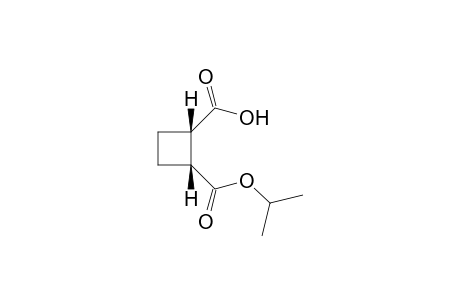 (1S,2R)-cis2-(2-Isopropoxycarbonyl)cyclobutane-1-carboxylic acid
