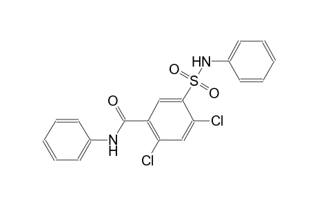 benzamide, 2,4-dichloro-N-phenyl-5-[(phenylamino)sulfonyl]-