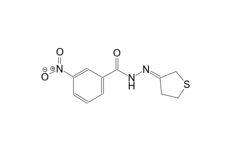 N'-((3E)-dihydro-3(2H)-thienylidene)-3-nitrobenzohydrazide