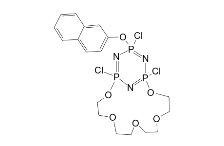 2,4-OXYTETRAETHYLENOXY-6-(BETA-NAPHTHOXY)-2,4,6-TRICHLOROCYCLOTRIPHOSPHAZATRIENE