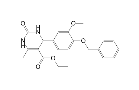 4-(3-Methoxy-4-phenylmethoxyphenyl)-6-methyl-2-oxo-3,4-dihydro-1H-pyrimidine-5-carboxylic acid ethyl ester