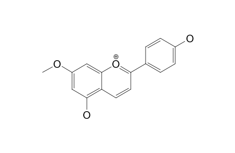 7-O-METHYLAPIGENINIDIN