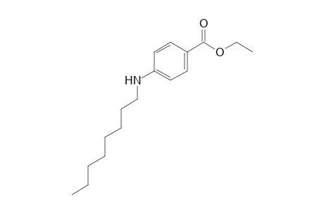 Ethyl  4-(octylamino)benzoate