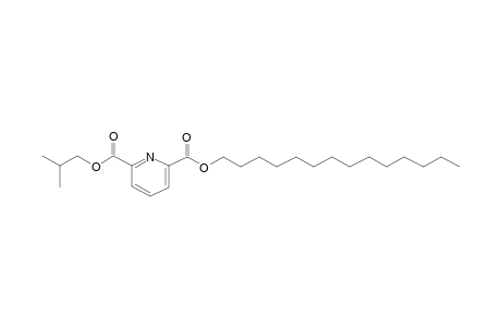 2,6-Pyridinedicarboxylic acid, isobutyl tetradecyl ester