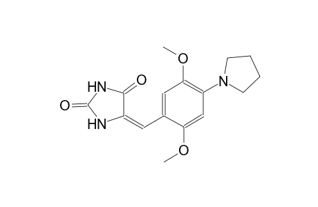 (5E)-5-[2,5-dimethoxy-4-(1-pyrrolidinyl)benzylidene]-2,4-imidazolidinedione