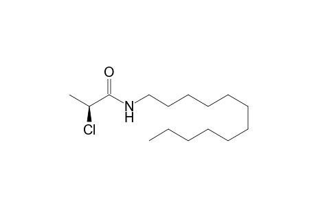 (S)-(-)-N-Dodectyl-2-chloropropionamide