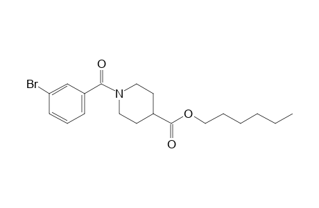 Isonipecotic acid, N-(3-bromobenzoyl)-, hexyl ester