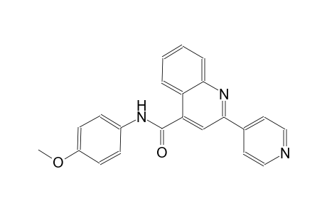 4-quinolinecarboxamide, N-(4-methoxyphenyl)-2-(4-pyridinyl)-
