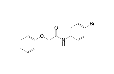acetamide, N-(4-bromophenyl)-2-phenoxy-
