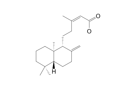Copalic acid