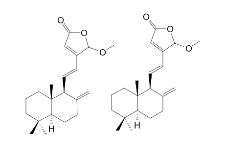 HEDYCORONEN-B;16-METHOXY-LABDA-8(17),11E,13-TRIEN-15,16-OLIDE