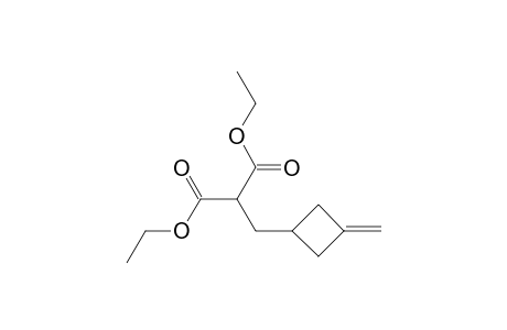 Propanedioic acid, [(3-methylenecyclobutyl)methyl]-, diethyl ester