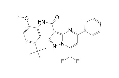 N-(5-tert-butyl-2-methoxyphenyl)-7-(difluoromethyl)-5-phenylpyrazolo[1,5-a]pyrimidine-3-carboxamide