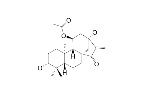 ISODOPHARICIN-A;11-BETA-ACETOXY-3-ALPHA,13-ALPHA-DIHYDROXY-ENT-KAUR-16-EN-15-ONE