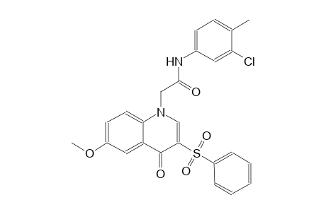 1-quinolineacetamide, N-(3-chloro-4-methylphenyl)-1,4-dihydro-6-methoxy-4-oxo-3-(phenylsulfonyl)-