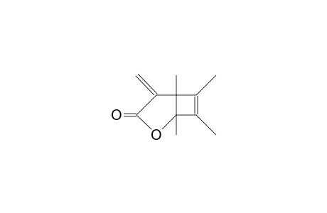 1,5,6,7-Tetramethyl-4-methylene-2-oxa-bicyclo(3.2.0)hept-6-en-3-one