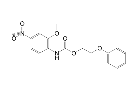 2-phenoxyethyl 2-methoxy-4-nitrophenylcarbamate