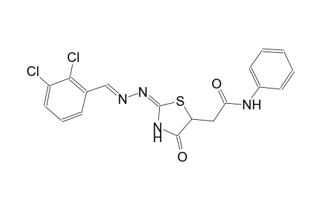2-{(2E)-2-[(2E)-2-(2,3-dichlorobenzylidene)hydrazono]-4-oxo-1,3-thiazolidin-5-yl}-N-phenylacetamide