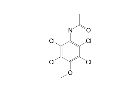 N-(2,3,5,6-tetrachloro-4-methoxyphenyl)acetamide