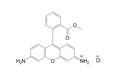 Rhodamine 123