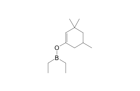 3,3,5-Trimethyl-1-cyclohexen-1-yl diethylborinate